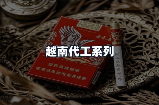 越南代工系列